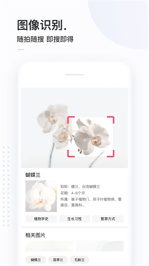 简单搜索app最新版,简单搜索app最新版下载,简单搜索