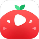 番茄视频app最新版2023