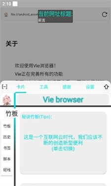 Vie极简浏览器安卓app